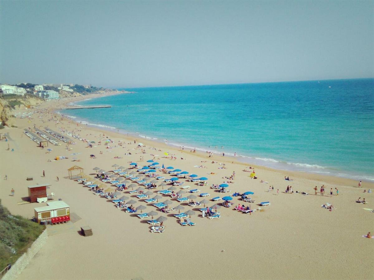 Little Wonder Apartment Albufeira Eksteriør billede